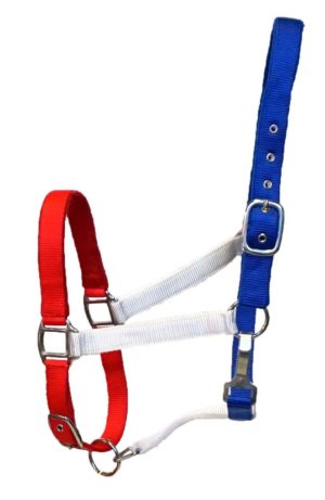 Equitem 6 5 Nylon Lead Rope with Bull Snap 